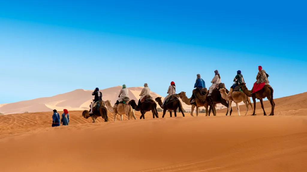 desert g4060fc470 1920 Welcome to Morocco Holidays! Our curated travel experiences will help you discover the magic of North Africa.Explore ancient cities and enjoy breathtaking landscapes. Immerse yourself into a vibrant culture.Join us for a journey of relaxation and adventure today!