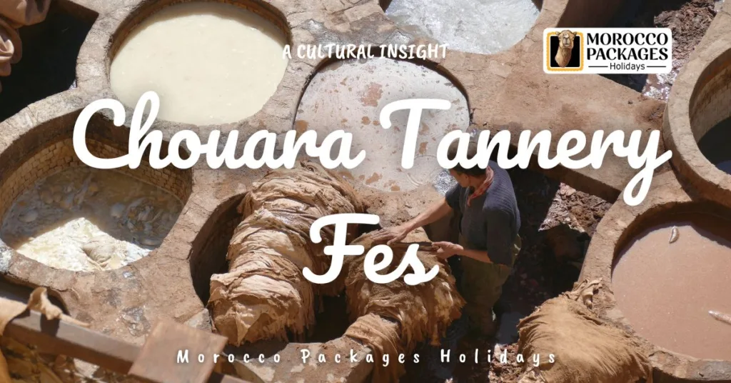 Chouara Tannery Fes Morocco