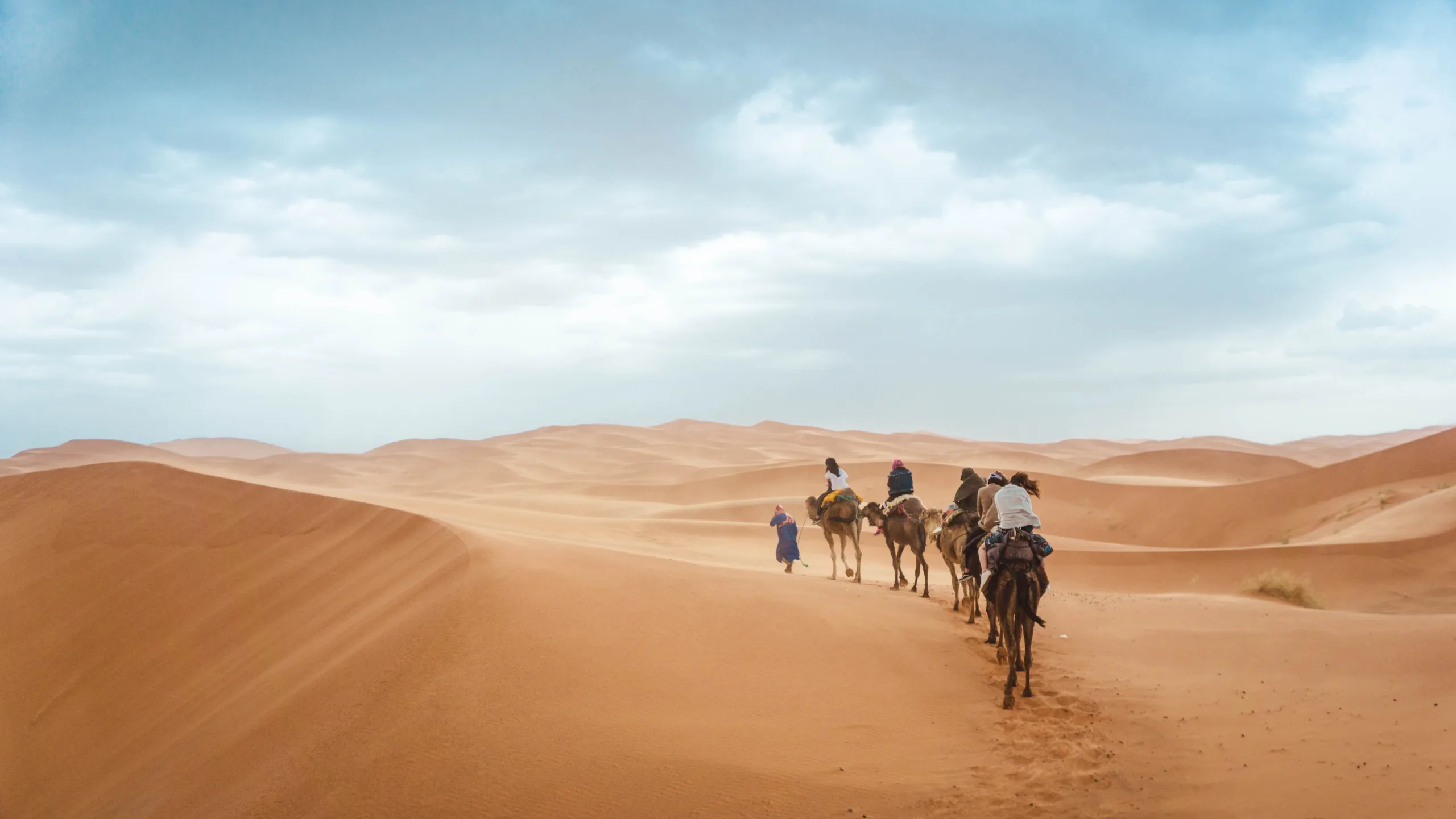 Sahara Desert Dunes