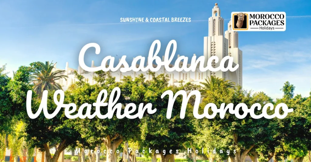 Casablanca Weather Morocco