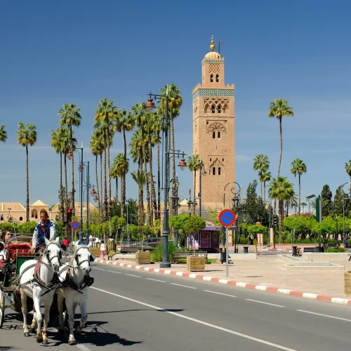12 days tour from Casablanca