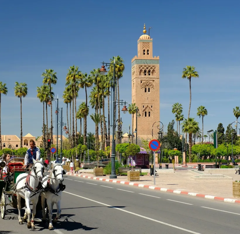 12 days tour from Casablanca