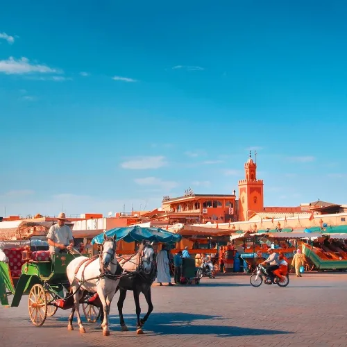 Activity Ride On A Carriage Around The City From Marrakech