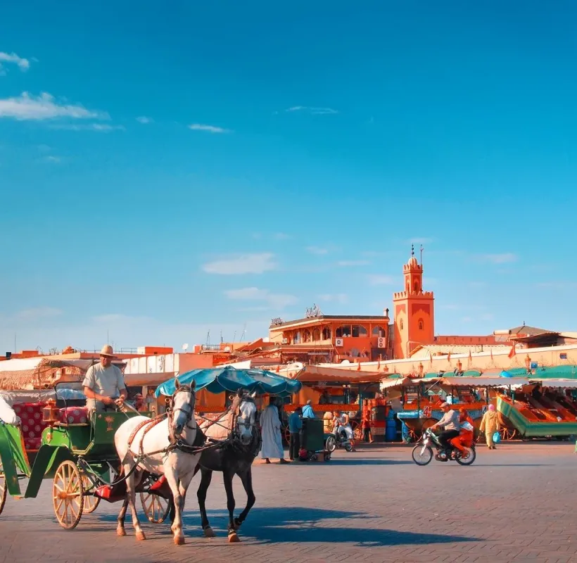 Activity Ride On A Carriage Around The City From Marrakech