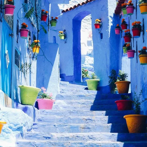 Chefchaouen Full Day Trip From Fes