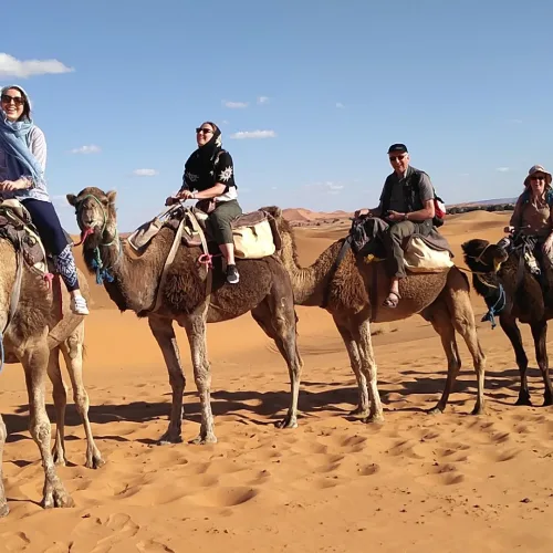 Overnight Camel Trek In The Desert