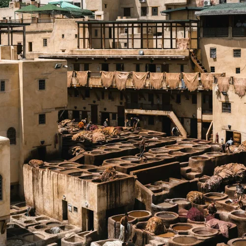 fes tanneries