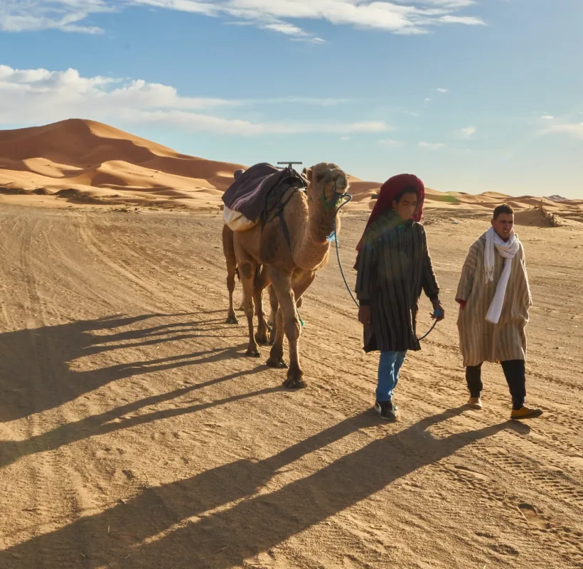 Marrakesh, Morocco - 31 December 2017: People with camels going between sand lands in desert near a city