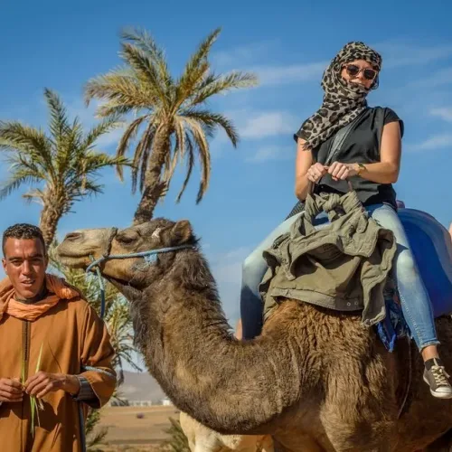 morocco explore excursions